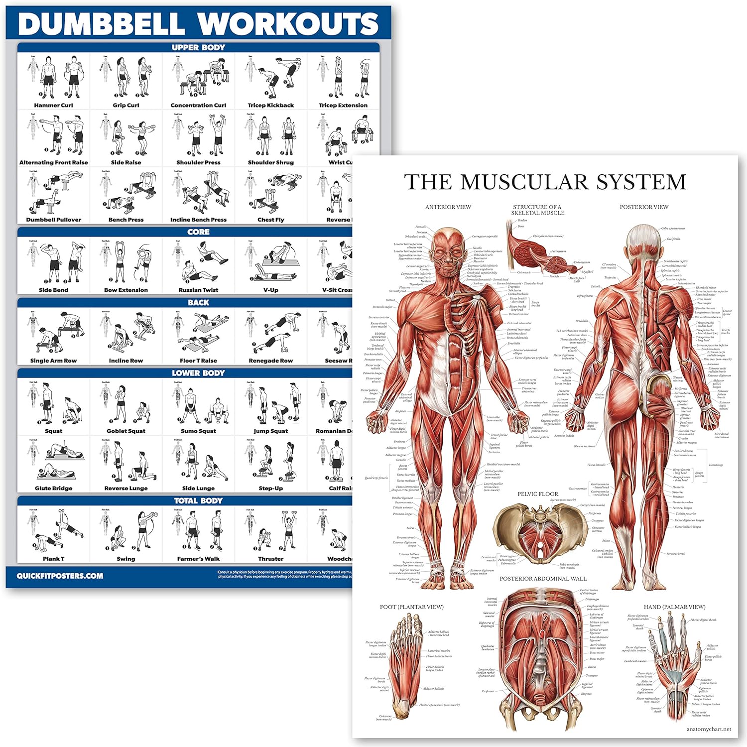 Best home gym exercises poster for weight system
