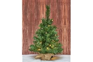 Osfvn Small Christmas Tree 2ft Prelit Battery Operated Timer Lighted Artificial Green Mini Xmas Pine Trees Decorations Tabletop Centerpiece Mantel Home Decor
