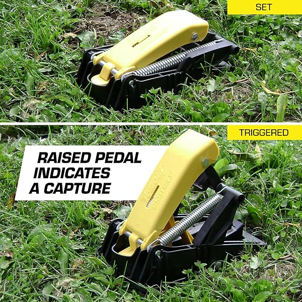 TOMCAT MOLE TRAP, INNOVATIVE AND EFFECTIVE MOLE REMOVER TRAP KILLS WITHOUT DRAWING BLOOD, REUSABLE AND HANDS-FREE, 1 TRAP