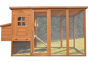 Amazoncom Backyard Chicken Coop Plans With Kennel Run Salbox
