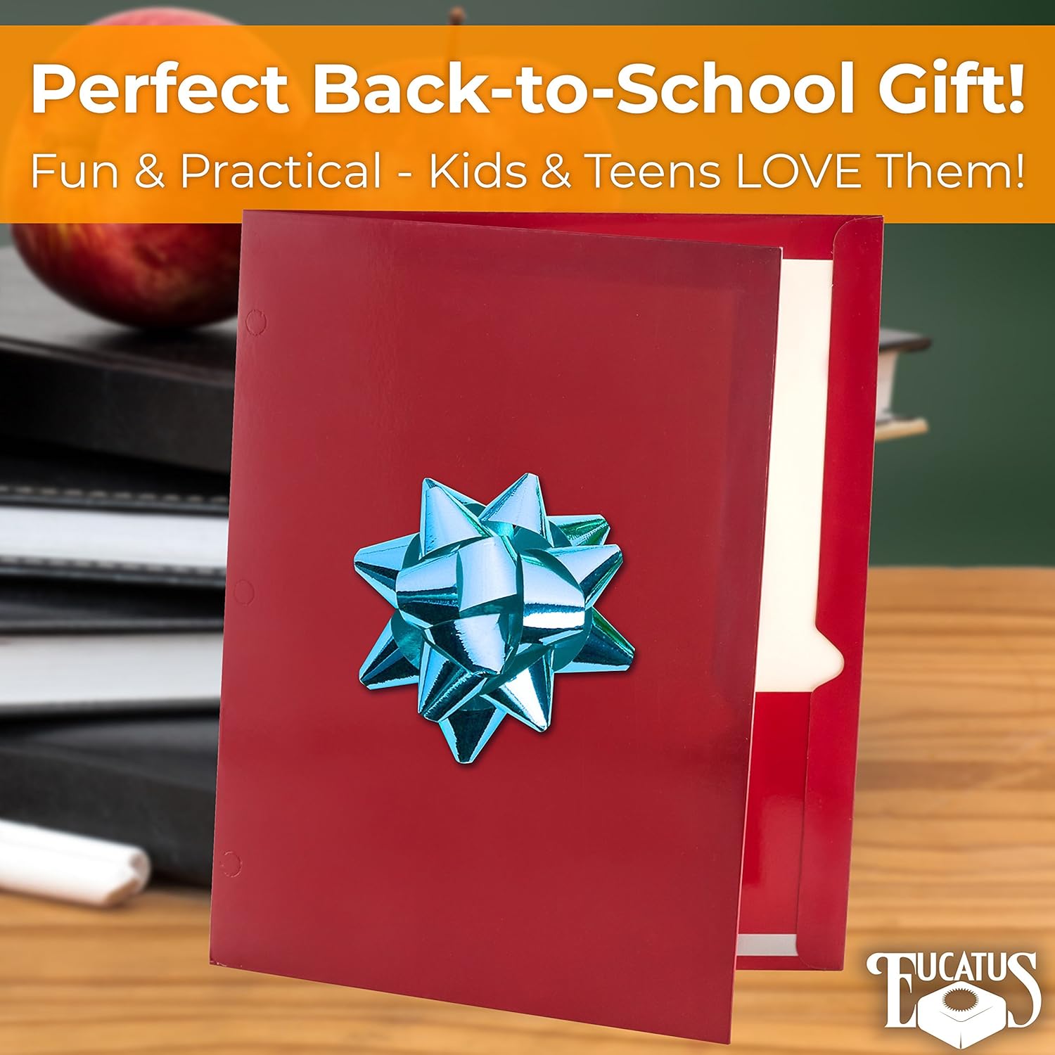 2 pocket laminated folders white image