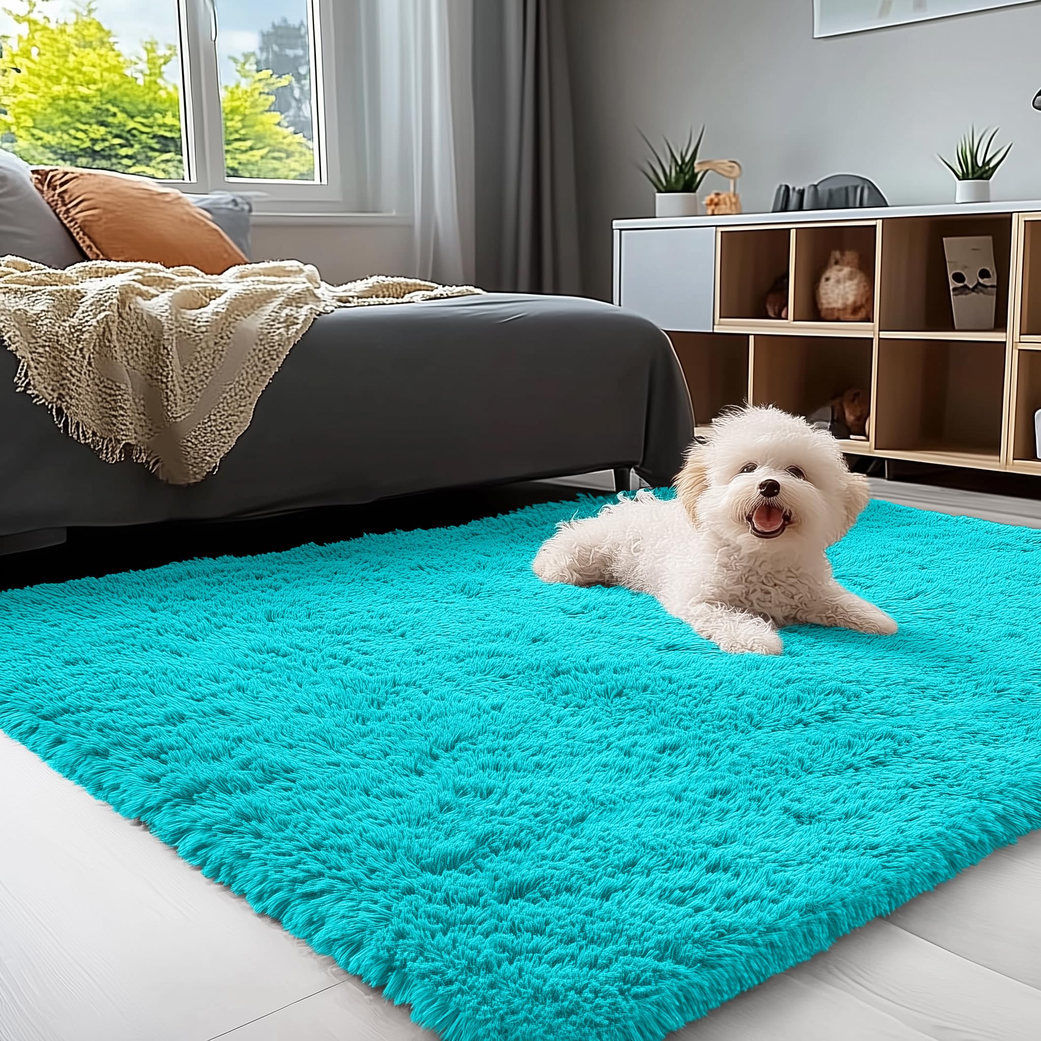 OLANLY 3x5 Machine Washable Small Bedside Rug, Soft