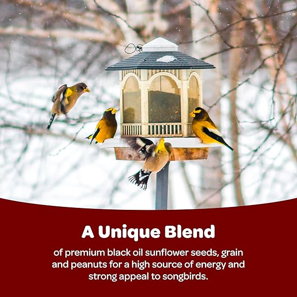 KAYTEE SONGBIRD WILD BIRD SEED FOOD, BLENDED FOR GROSBEAKS, CHICKADEES, TITMICE, CARDINALS, NUTHATCHES & MORE, 7 POUNDS