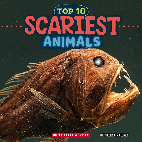 入手困難激レア burton book Top 10 Scariest Animals (Wild World): Maloney, Brenna