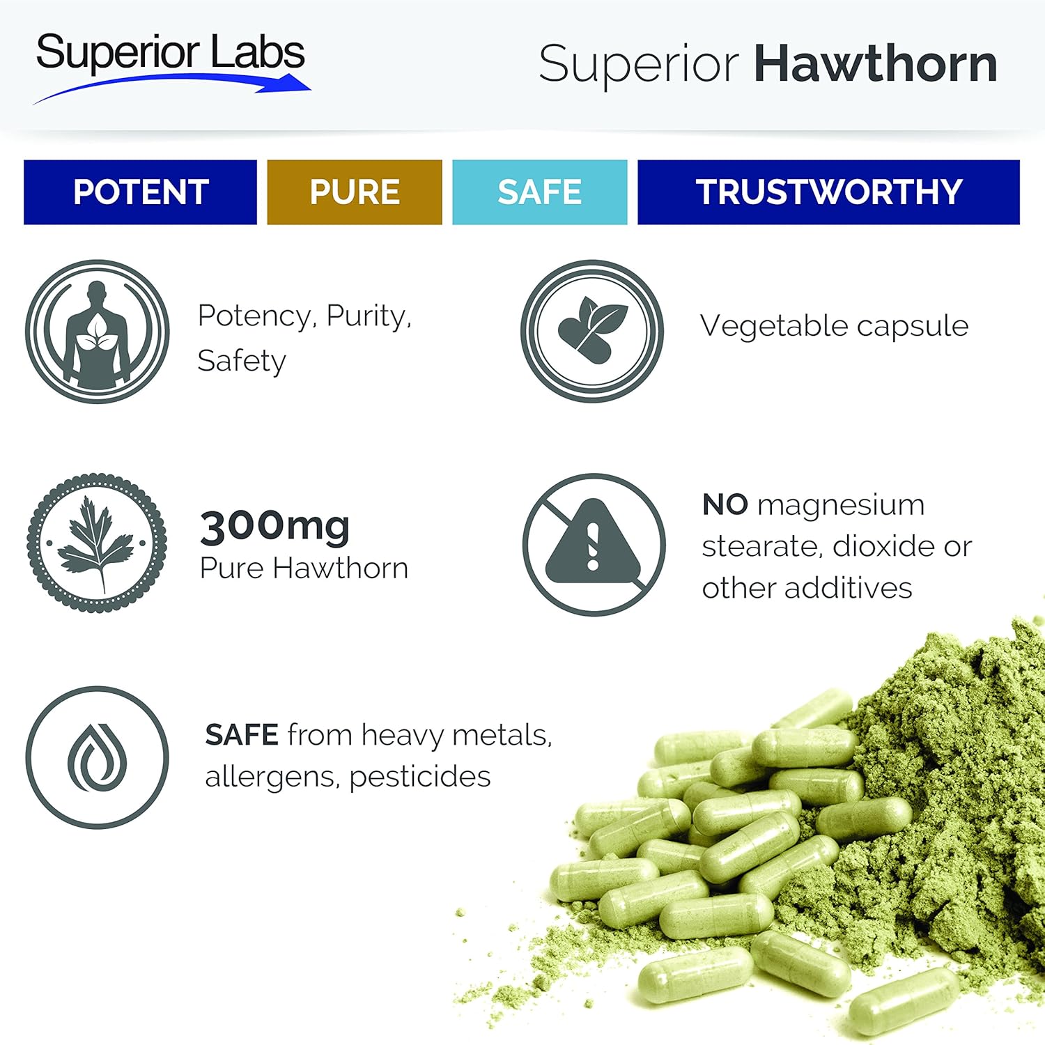 Superior Labs — Best Hawthorn Vitamin Supplement NonGMO, Non Synthetic — 300 mg Dosage, 120 Vegetable Capsules — Powerful Antioxidant — Healthy Digestion — Circulatory & Cardiovascular Health: Health & Personal Care