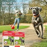 Beaphar Gentle Leader Head Collar for Large Dogs - Anti-Pull Training view 8