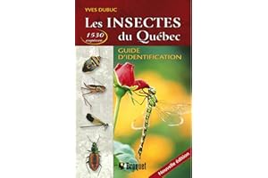 Les insectes du Québec