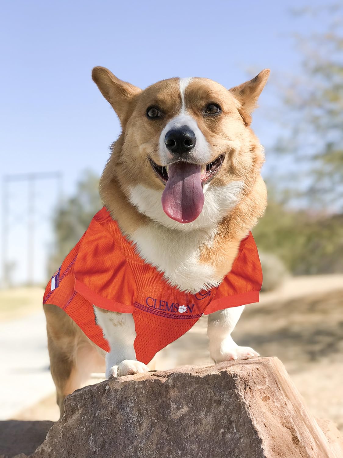 clemson tigers dog jersey