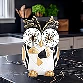 Wiresusan Owl Statue Home Decor Accents, Owl Figurines for Bookshelf Bedroom Living Office Table Indoor, Big Eyes Owls Decoration Animal Sculpture, Modern Resin Bird Figurine Gift for Women