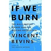 If We Burn: The Mass Protest Decade and the Missing Revolution