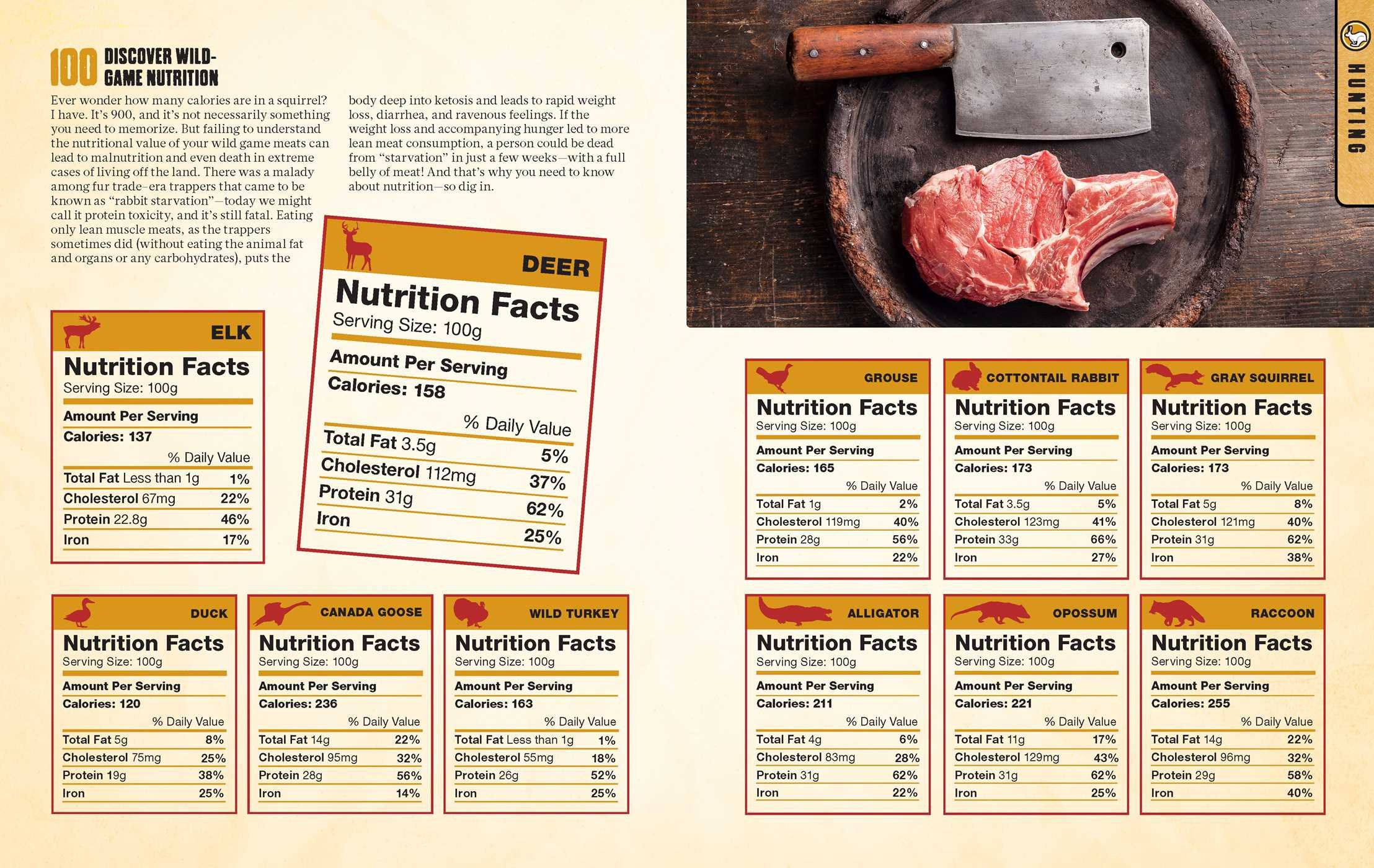 The Hunting & Gathering Survival Manual: 221 Primitive & Wilderness  Survival Skills: Tim MacWelch: 9781616288310: Amazon.com: Books