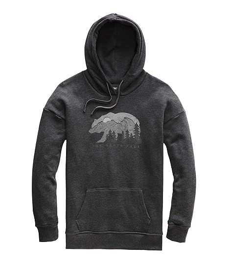 north face bearscape hoodie women's