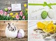 Edition Colibri Osterkarten-Set – 12 Klappkarten Mit Umschlägen, 4 Motive