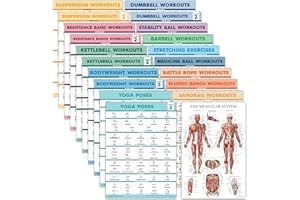 Palace Learning 20 Pack - Exercise Poster Set: Dumbbell, Suspension, Battle Rope, Stretching, Bodyweight, Barbell, Yoga, Exer