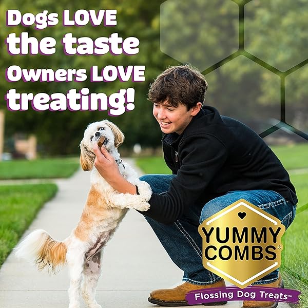 YUMMY COMBS DOG DENTAL TREATS – VET VOHC APPROVED – DELICIOUS CHICKEN PROTEIN – REMOVES TARTAR WITH CLEANING COMB SHAPE – DENTAL DOG TREATS FOR EXTRA SMALL DOGS (12OZ, 48 COUNT)