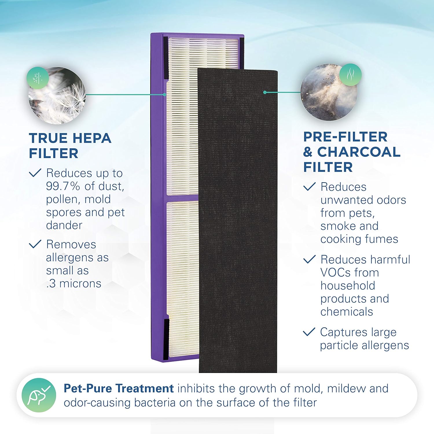 Germ Guardian FLT4850PT True HEPA Genuine Air Purifier Replacement Filter B, with Pet Pure Treatment for GermGuardian AC4900, AC4825, AC4850PT, CDAP4500, AC4300, and More, 1 Count (Pack of 1): Health & Personal Care
