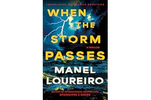 When The Storm Passes: A Thriller