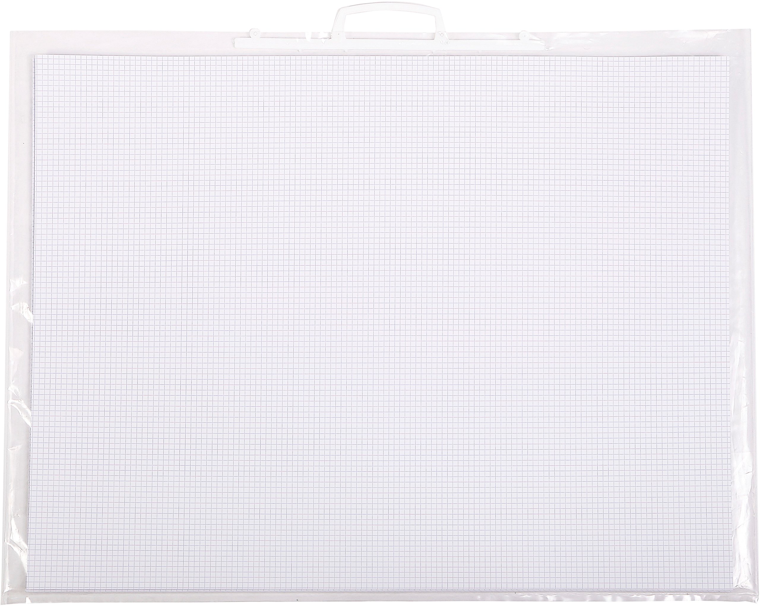 Clairefontaine - Ref 33017C - Bristol Graduated Sheets (125 Sheets) - 50 x 65cm Size, 205gsm Paper, Squared Rulings - Suitable for Pencil, Technical Pen, Indian Ink, Felt Nibs