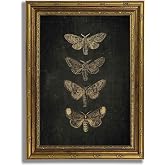Moth Wall Art Gold Framed Vintage Butterfly Canvas Print Dark Gothic Butterfly Picture Insect Poster Gothic Wall Decor Dark Academia Moody Nature Print Living Room Bedroom Hallway Ready to Hang 9x11
