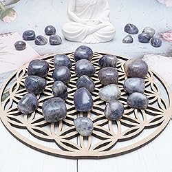 Crocon 1LB Iolite Tumbled Stones and Crystals Bulk