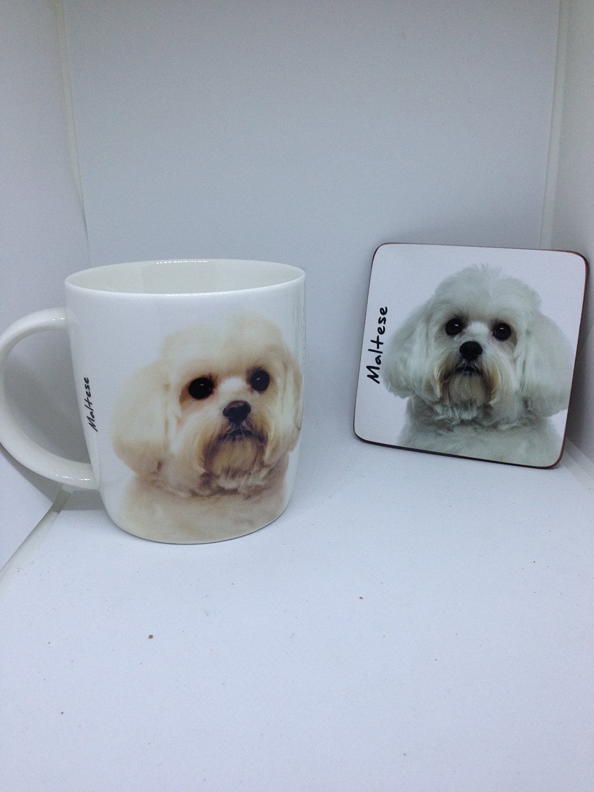 Maltese mug and coaster set