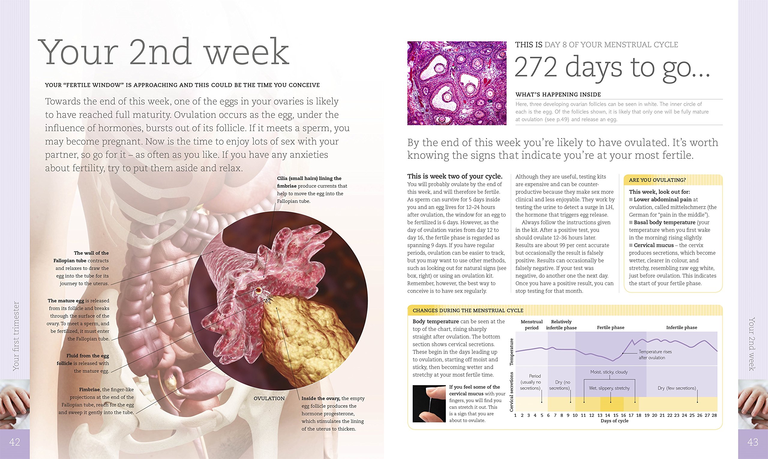 day by day baby book