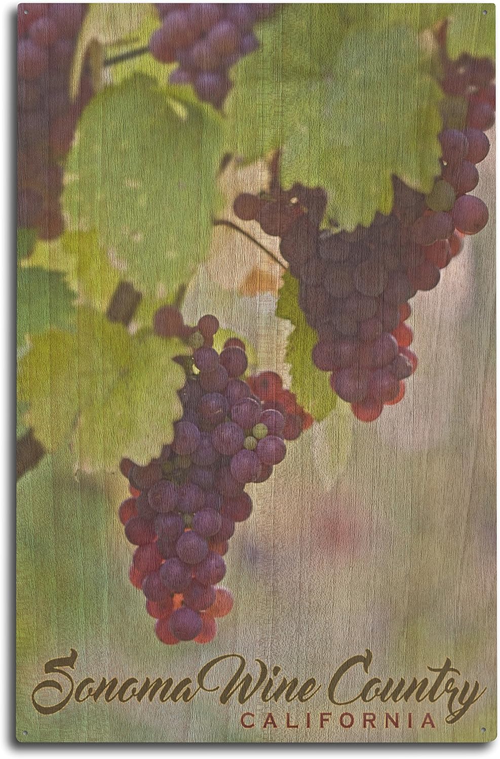 Lantern Press Sonoma Wine Country, California - Wine Grapes on Vine (10x15 Wood Wall Sign, Wall Decor Ready to Hang)