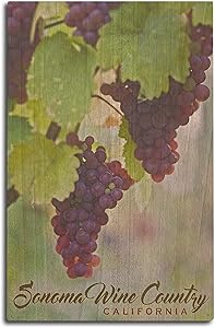 Lantern Press Sonoma Wine Country, California - Wine Grapes on Vine (10x15 Wood Wall Sign, Wall Decor Ready to Hang)