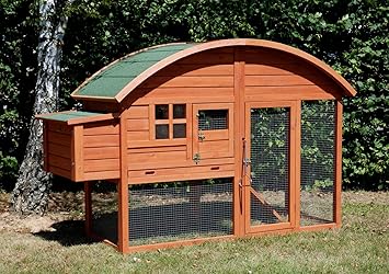 Poulailler Dextérieur En Bois Louisiane Pour 2 à 3 Poules Amazon