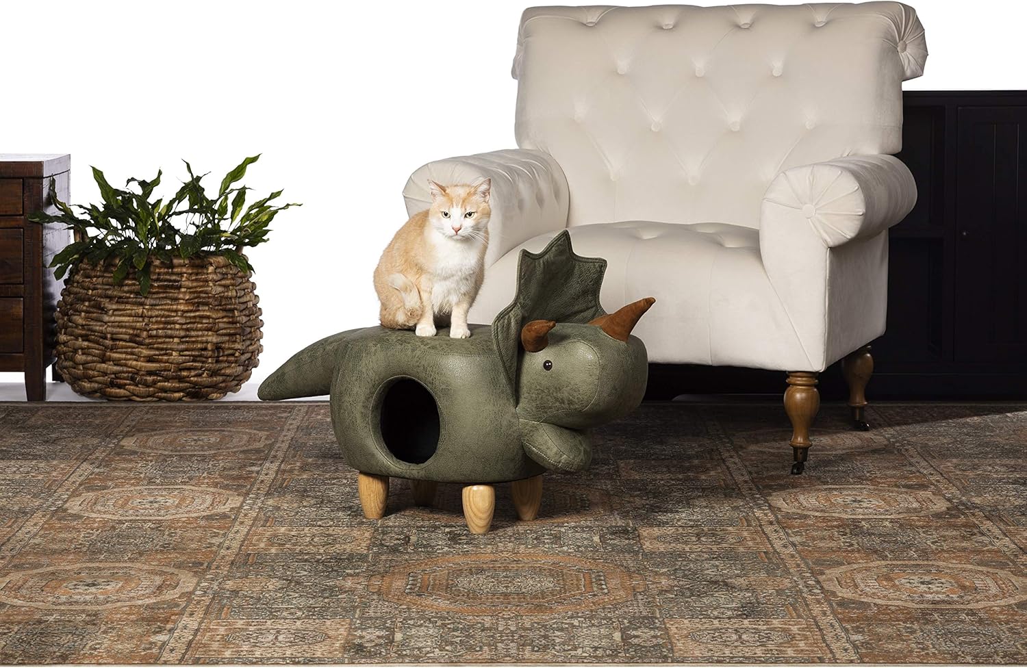 dinosaur cat bed