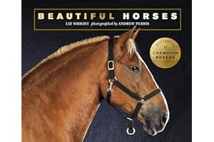 Beautiful Horses: Portraits of champion breeds (Beautiful Animals)