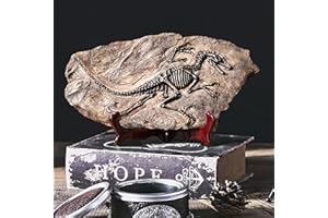 LAGOM HOUSE Dinosaur Fossil Resin Dinosaur Skeleton Model Skull Statue Bones Figurines T rex Tyrannosaurus Skull Replica Fossils | Dinosaur Decor for Bookshelf Desktop Shelf Display 13x 7in