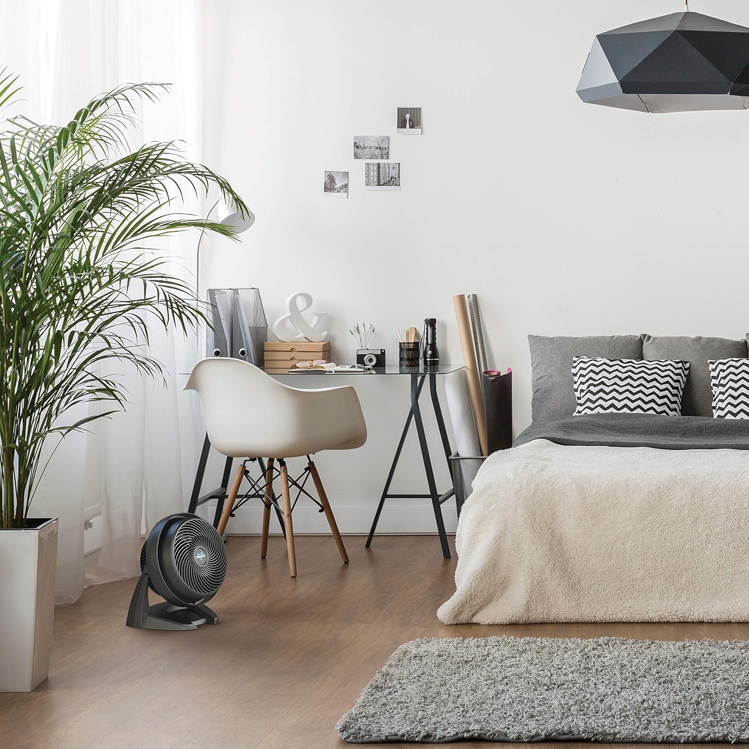 Vornado 630 Mid-Size Whole Room Air Circulator Fan: Home & Kitchen
