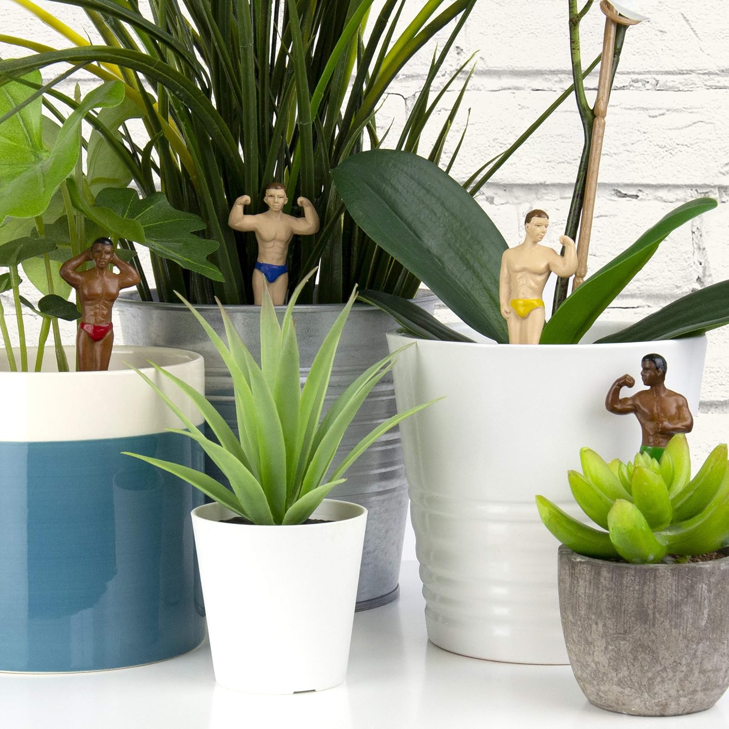 Gift Republic Mini Plant Pot Hunks, Multi, Multicolor - Image 4