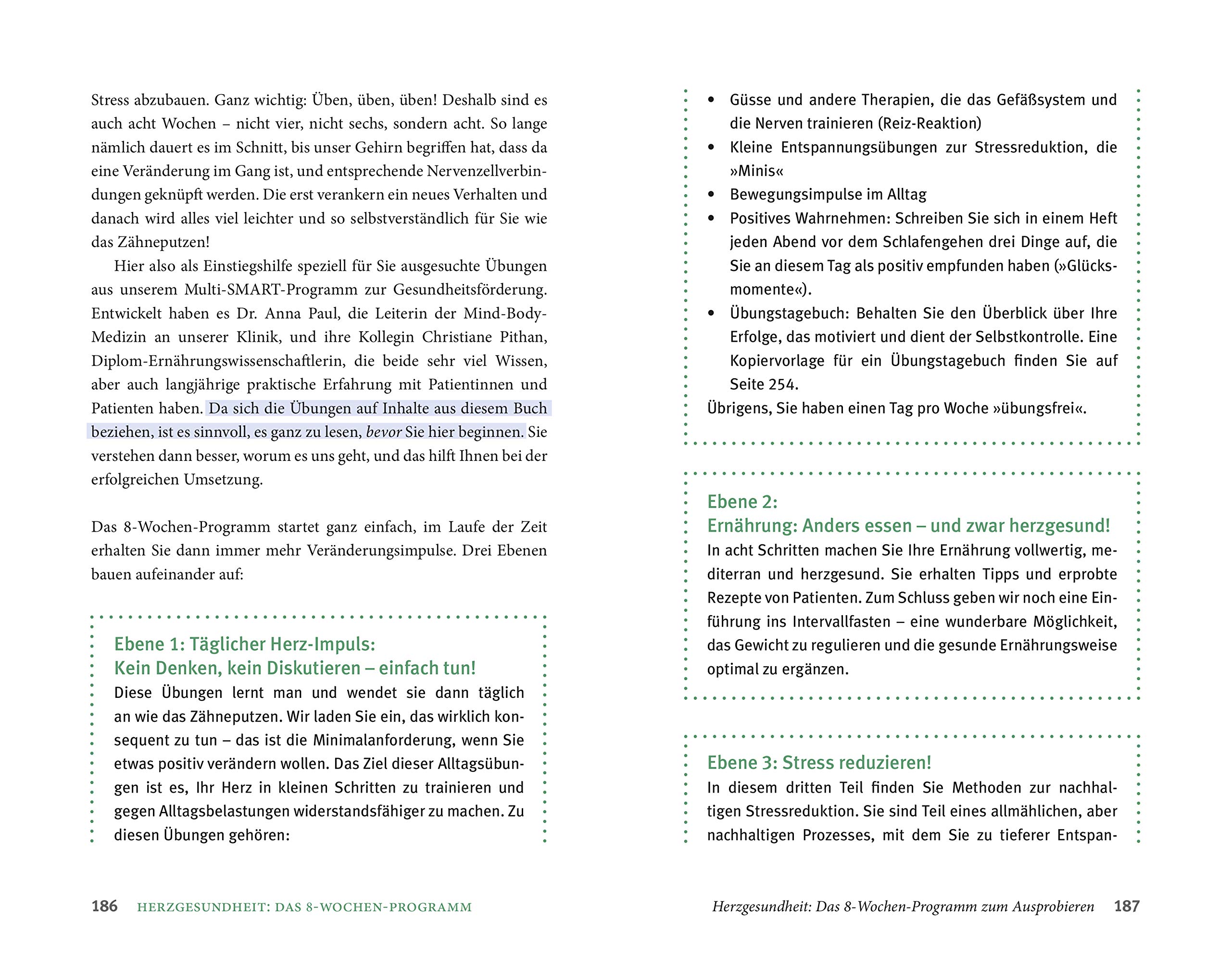 Das Gestresste Herz Was Wir Tun Konnen Um Unser Empfindsamstes Organ Zu Schutzen Dobos Gustav 9783958032330 Amazon Com Books