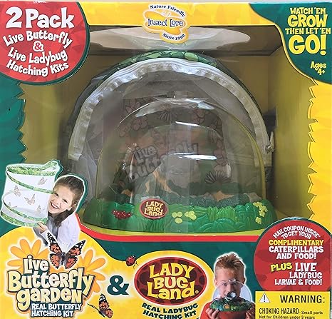 Insect Lore Live Butterfly Garden And Ladybug Land Toys Games Amazon Com