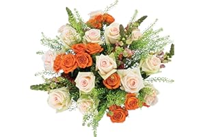 Country Living Floral Collection by Colour Republic Premium Fresh Cut Orange and Peach Roses, 2 Dozen Fresh Flowers Delivery, Extra Large Bouquet