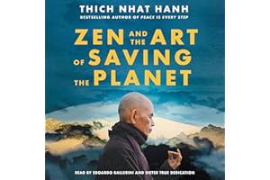 Zen and the Art of Saving the Planet