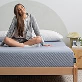 Leesa Studio 10" Mattress, Twin Size, Cooling Memory Foam/CertiPUR-US Certified Foam / 120-Night Trial, Heather-Blue