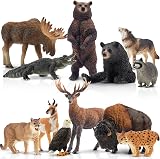 toymany 12PCS North American Forest Animal Figurines Realistic Toy Set view 9