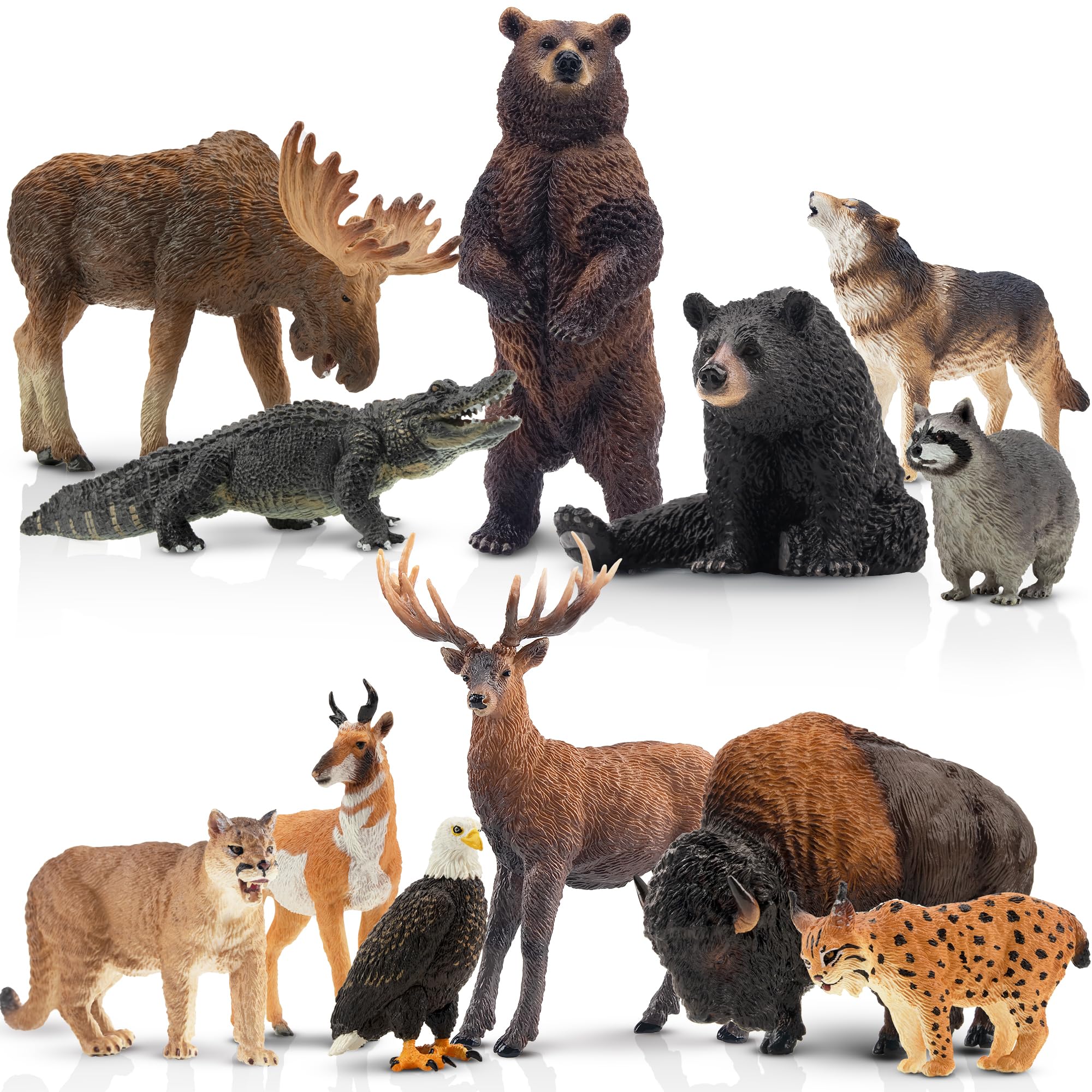 Toymany 12PCS North American Forest Animal Figurines, Realistic Jungle Zoo Animal Set Includes Moose,Cougar,Wolf,Bear,Eagle,Deer Educational Toy Cake Toppers Christmas Birthday Gift for Toddlers