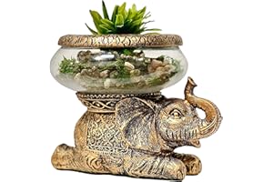 THE NIFTY NOOK Good Luck Elephant Glass Bowl – Gold Antiqued Decorative Figurine with Removable Glass Bowl – Terrarium, Candle Holder, or Tabletop Aquarium – Polyresin Home Décor with Gift Box