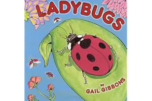 Ladybugs