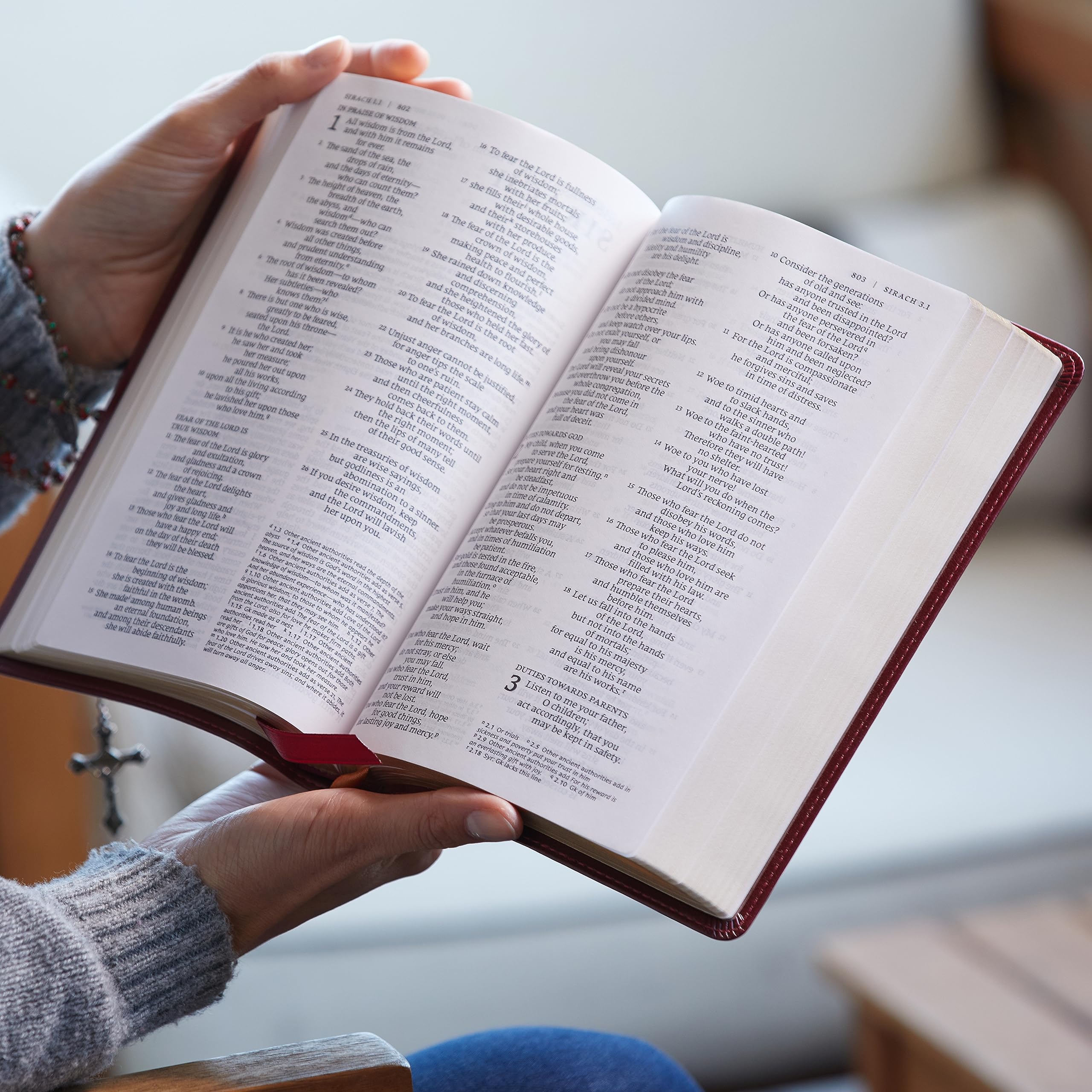 NRSV Large Print Standard Catholic Bible, Red Leathersoft (Comfort Print, Holy Bible, Complete Catholic Bible, NRSV CE): Holy Bible NRSV Large Print Standard Catholic Bible, Red Leathersoft (Comfort Print, Holy Bible, Complete Catholic Bible, NRSV CE): Holy Bible Imitation Leather