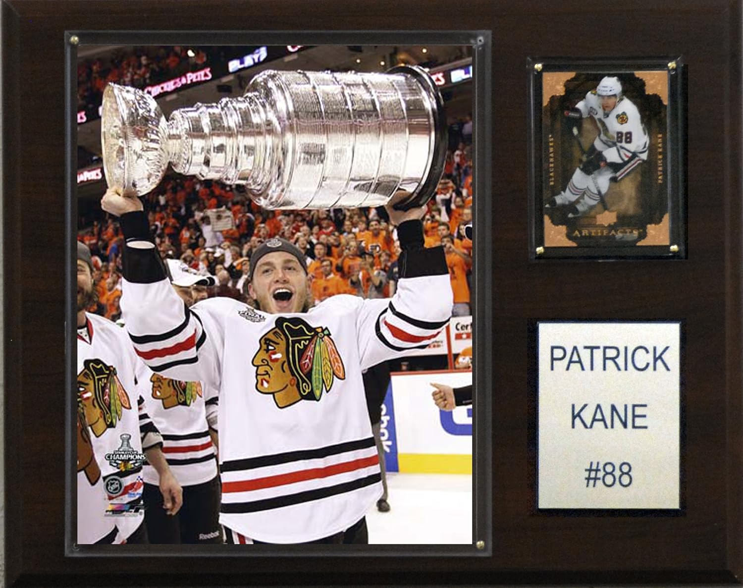 Best Chicago Blackhawks 2010 Stanley Cup Pictures