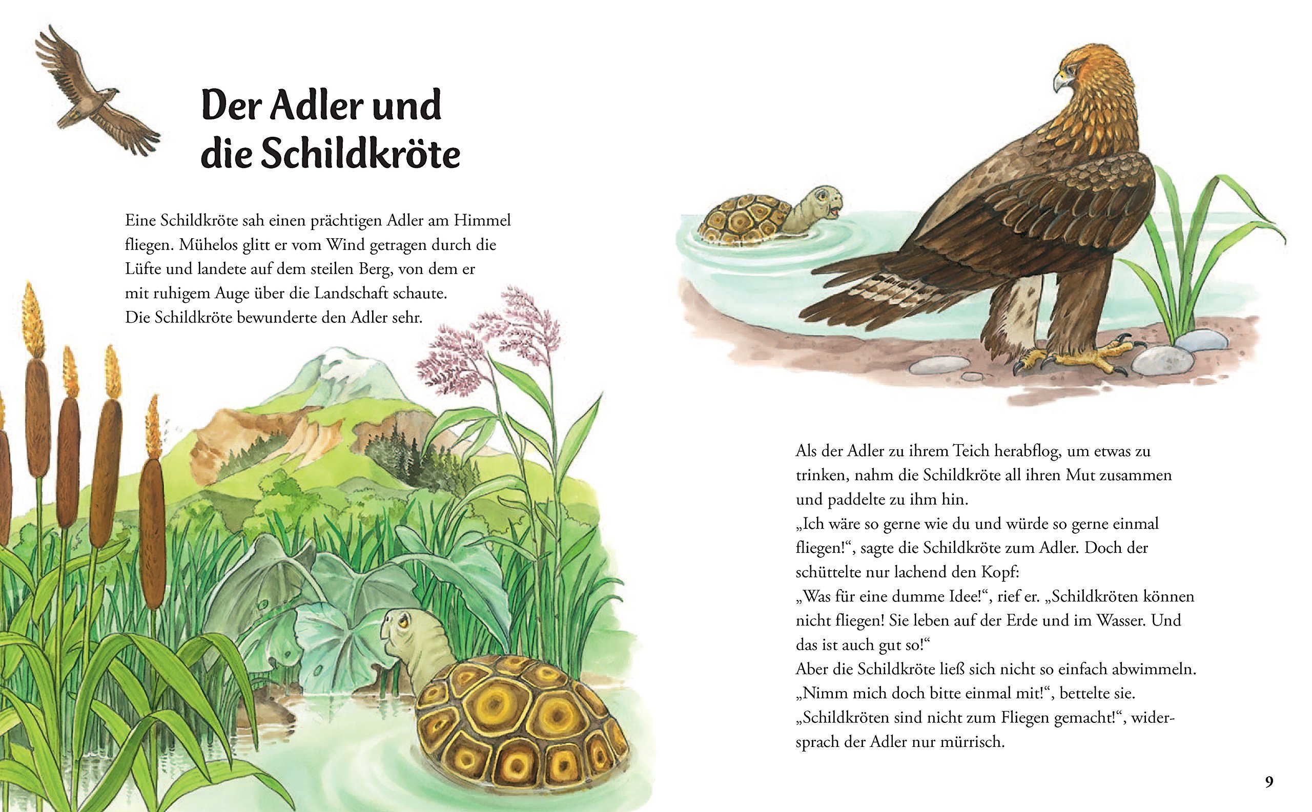 Get Der adler und die schildkroete For Free
