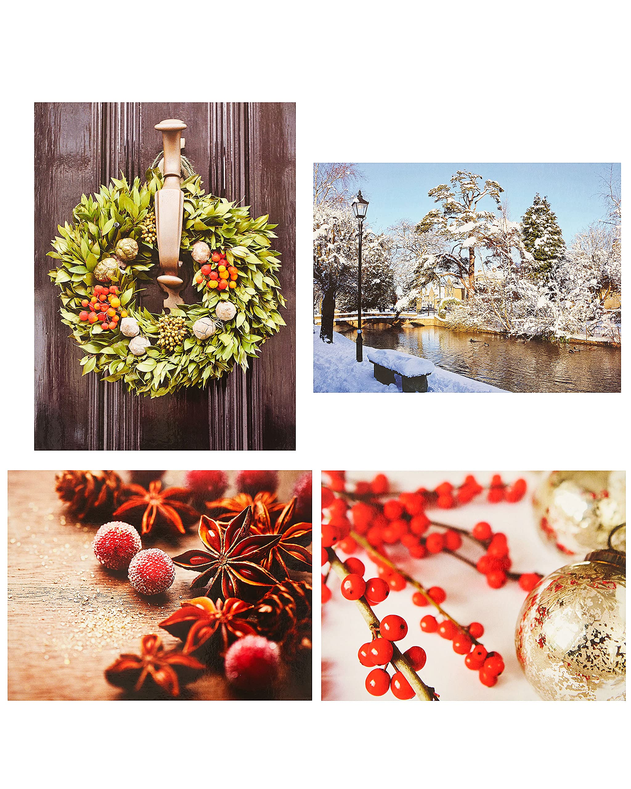 Box of 24 Assorted Festive Fun Multiple Charity Christmas Cards In 4 Designs