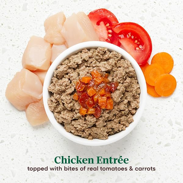 NUTRO ULTRA WET DOG FOOD PATE WITH TOPPERS CHICKEN & TURKEY ENTREE VARIETY PACK, 3.5 OZ. TRAYS (12 COUNT, PACK OF 1)