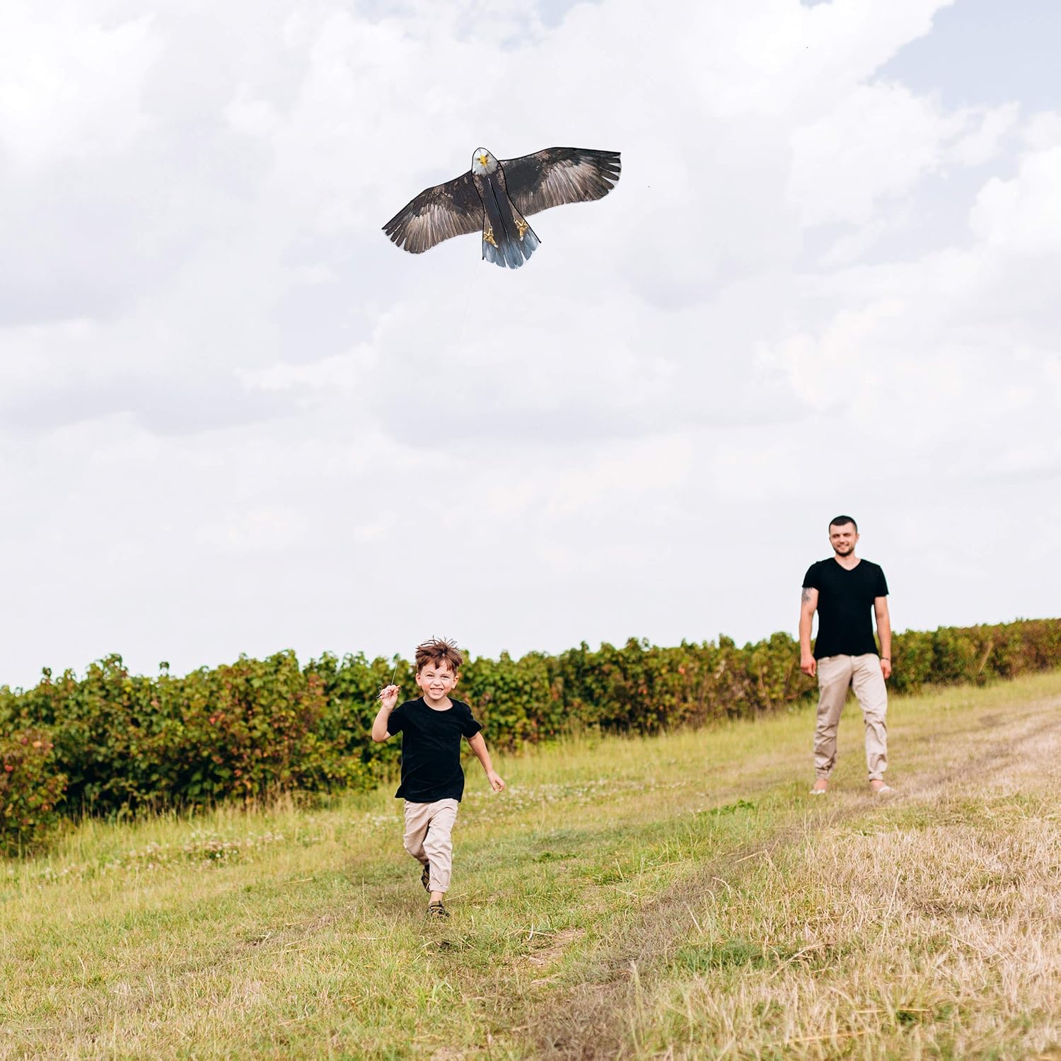 JEKOSEN 70" Bald Eagle Huge Kite for Kids and Adults Single Line String Easy to Fly for Beach Trip Park Family Outdoor Games and Activities: Toys & Games