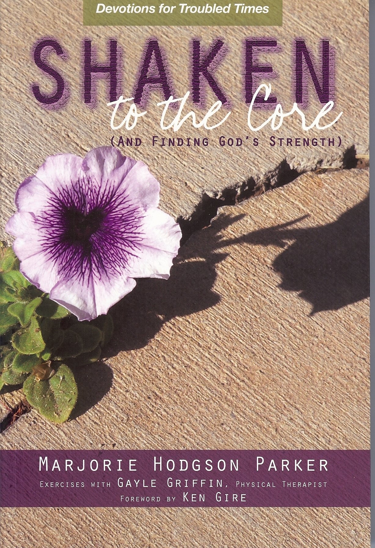  free Download Shaken To The Core Ccna Security 210 260 Book Pdf